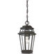 Holbrook 1 Light 8 inch Textured Bronze With Gold Highlights Outdoor Hanging Lantern