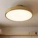 Thayer LED 20 inch Warm Brass Semi-Flush Ceiling Light