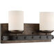 Alsace 2 Light 16 inch Reclaimed Wood Bathroom Vanity Light Wall Light