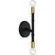 Rossi 2 Light 5.25 inch Matte Black with Warm Brass Accents Wall Sconce Wall Light, Lighting One (Open)