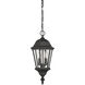 Wakefield 2 Light 9.25 inch Textured Black Outdoor Hanging Lantern