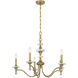 Champlain 5 Light 28 inch Warm Brass Chandelier Ceiling Light