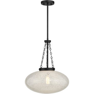 Willow 1 Light 16.5 inch Matte Black Pendant Ceiling Light