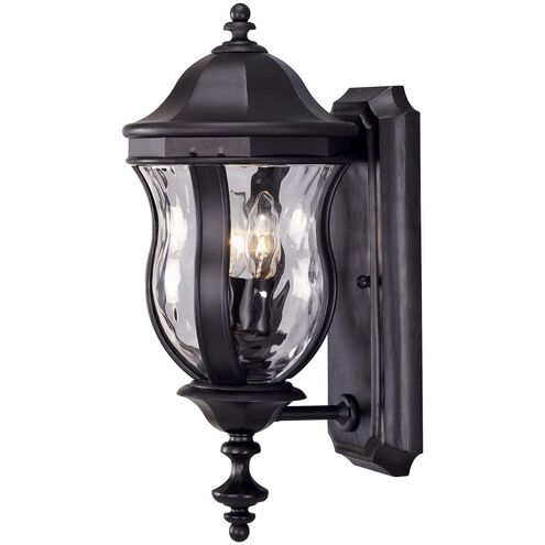 Monticello 2 Light 18 inch Matte Black Outdoor Wall Lantern