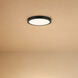 Stella LED 10 inch Black Flush Mount Ceiling Light, Essentials