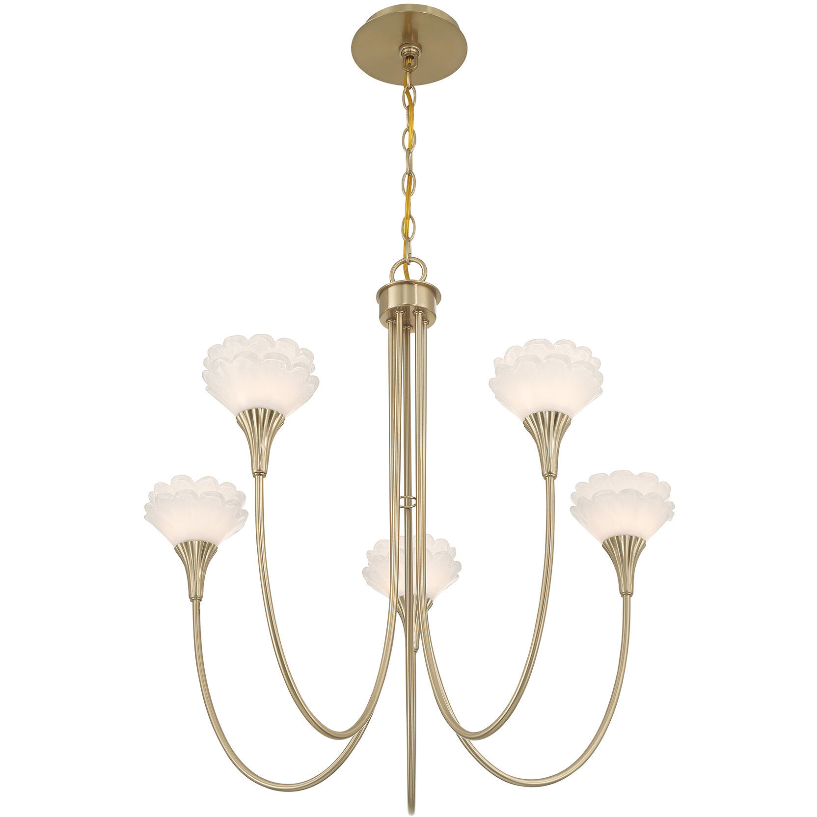 Florena 5 Light 26 inch Noble Brass Chandelier Ceiling Light