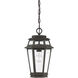 Holbrook 1 Light 8 inch Textured Bronze With Gold Highlights Outdoor Hanging Lantern
