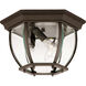 Exterior Collections 3 Light 9 inch Bronze Outdoor Flush Mount