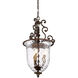 St. Laurence 3 Light 15 inch New Tortoise Shell / Silver Pendant Ceiling Light