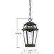 Holbrook 1 Light 8 inch Textured Bronze With Gold Highlights Outdoor Hanging Lantern
