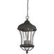 Realto 4 Light 12 inch Walnut Patina Outdoor Hanging Lantern