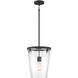 Dimond 1 Light 12 inch Matte Black Pendant Ceiling Light, Lighting One