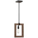 Burgess 1 Light 9.25 inch Durango Mini-Pendant Ceiling Light