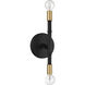 Rossi 2 Light 5.25 inch Matte Black with Warm Brass Accents Wall Sconce Wall Light, Lighting One (Open)