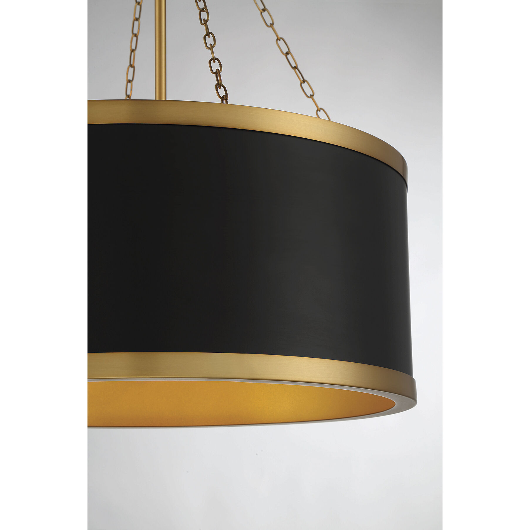Delphi 6 Light 19 inch Black with Warm Brass Accents Pendant Ceiling Light