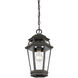 Holbrook 1 Light 8 inch Textured Bronze With Gold Highlights Outdoor Hanging Lantern