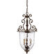 St. Laurence 3 Light 15 inch New Tortoise Shell / Silver Pendant Ceiling Light
