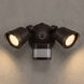 Stella Outdoor Flood Light in Bronze, Essentials