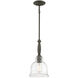 Chester 1 Light 8.5 inch Sweetgum Pendant Ceiling Light
