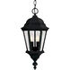 Wakefield 2 Light 9.25 inch Textured Black Outdoor Hanging Lantern