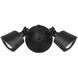 Stella Outdoor Flood Light in Black, Essentials