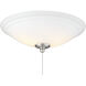 Wind Star LED Brushed Pewter Ceiling Fan Light kit