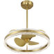 Corona 14 inch Warm Brass with Gold Blades Fan D'Lier