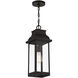 Drexel 1 Light 7.5 inch English Bronze Outdoor Hanging Lantern, Lighting One