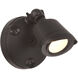 Stella Outdoor Flood Light in Bronze, Essentials