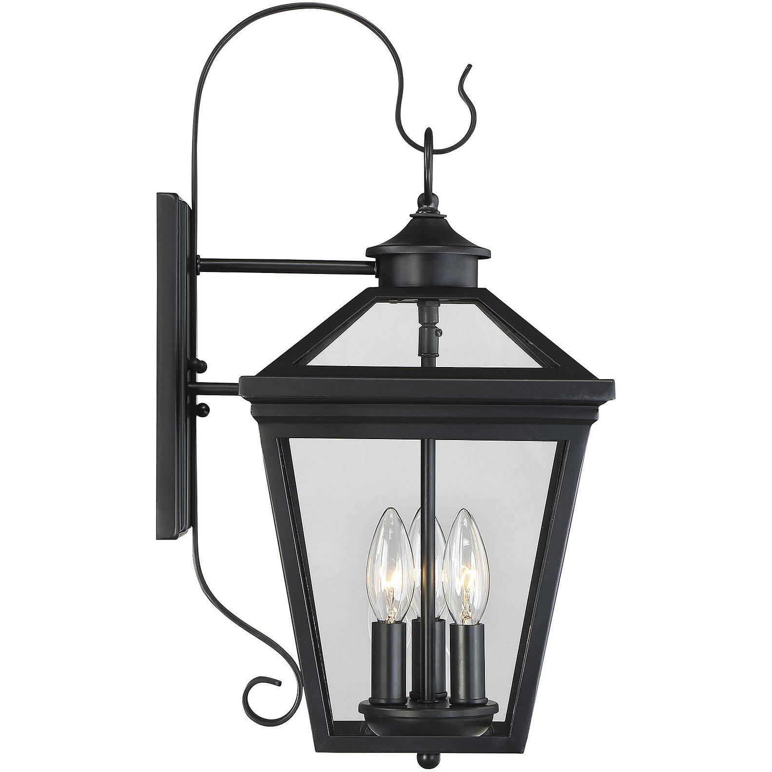 Ellijay Outdoor Wall Lantern in Black