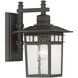 Linden 1 Light 13 inch Textured Bronze Outdoor Wall Lantern