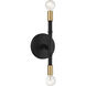Rossi 2 Light 5.25 inch Matte Black with Warm Brass Accents Wall Sconce Wall Light, Lighting One (Open)
