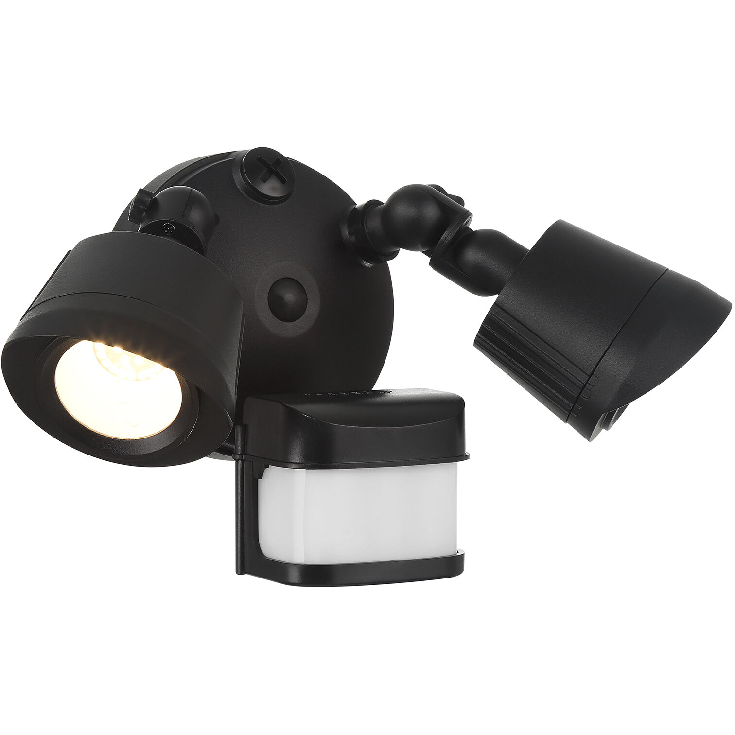 Stella Outdoor Flood Light in Black, Essentials