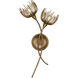 Protea Wall Sconce Wall Light