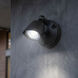 Stella Outdoor Flood Light in Black, Essentials