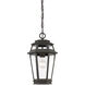 Holbrook 1 Light 8 inch Textured Bronze With Gold Highlights Outdoor Hanging Lantern