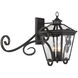 Ellijay Outdoor Wall Lantern in English Bronze, with Scrolls