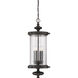 Palmer 4 Light 13 inch Walnut Patina Outdoor Hanging Lantern
