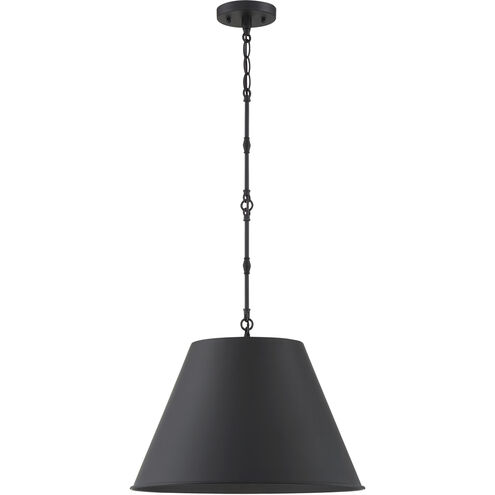 Alden 1 Light 18.25 inch Matte Black Pendant Ceiling Light, Essentials