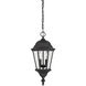 Wakefield 2 Light 9.25 inch Textured Black Outdoor Hanging Lantern