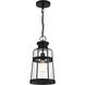 Quinton 1 Light 8.5 inch Matte Black Outdoor Hanging Lantern, Lighting One