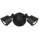 Stella Outdoor Flood Light in Black, Essentials