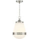 Endura 1 Light 10.00 inch Pendant