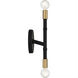Rossi 2 Light 5.25 inch Matte Black with Warm Brass Accents Wall Sconce Wall Light, Lighting One (Open)