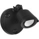 Stella Outdoor Flood Light in Black, Essentials
