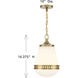 Endura 1 Light 10 inch Warm Brass Pendant Ceiling Light, Lighting One