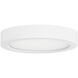 Stella LED 5.3 inch White Flush Mount Ceiling Light, Essentials