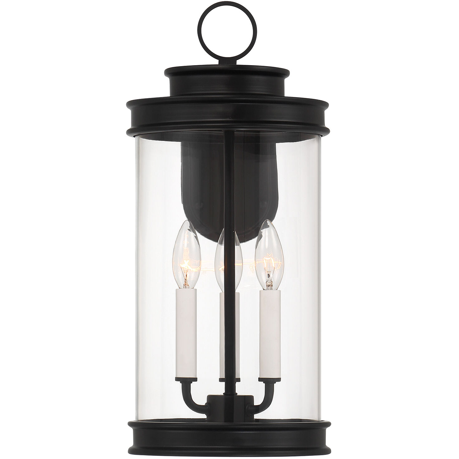 Englewood Outdoor Wall Lantern