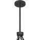 Chalfont 4 Light 30 inch Matte Black Pendant Ceiling Light