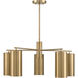 Lio 5 Light 28 inch Noble Brass Chandelier Ceiling Light